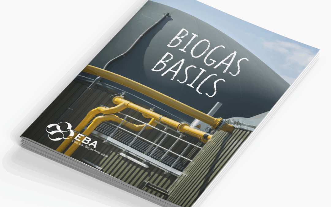 Biogas Basics