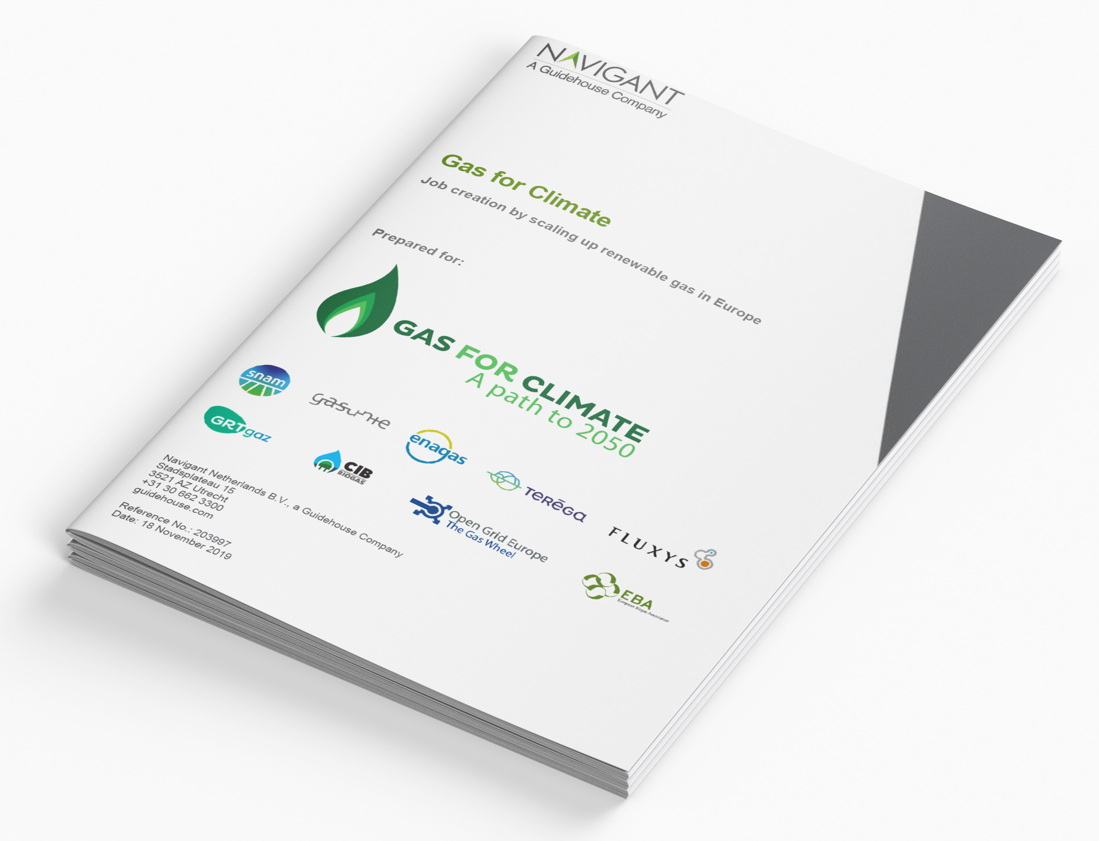 Job creation by scaling up renewable gas in Europe