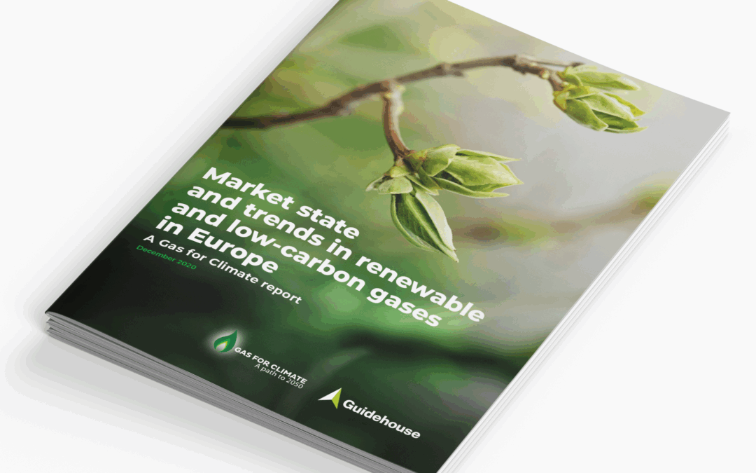Market state and trends in renewable and low-carbon gases in Europe