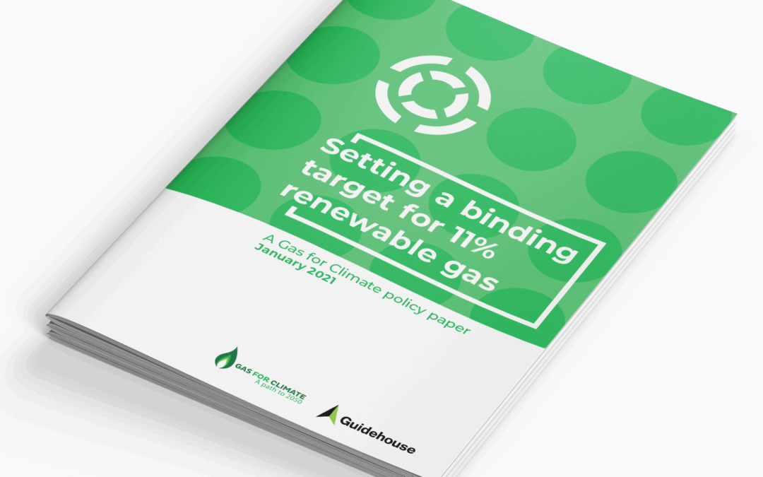 Setting a binding target for 11% renewable gas