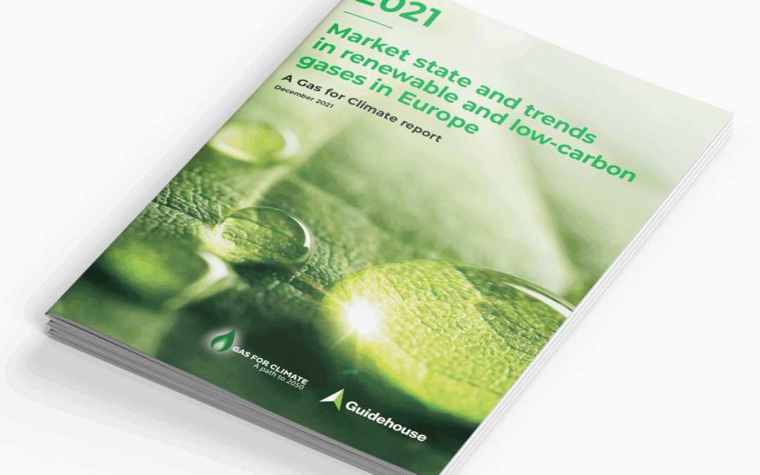 Gas for Climate Market State and Trends Report 2021
