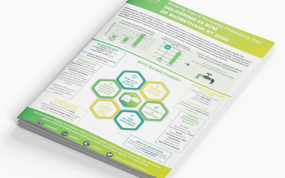 Breaking Free of the Energy Dependency Trap – Delivering 35 bcm of biomethane by 2030