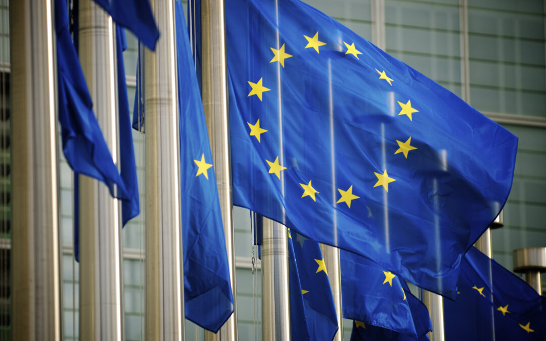 The REPowerEU puts forward a Biomethane Action Plan to scale-up the sector by 2030