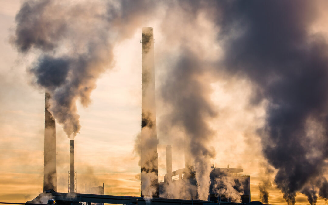 Gas for Climate publishes updated biomethane production potentials for EU Member States, assessing the feasibility of the 35 bcm REPowerEU target for 2030 and providing outlook to 2050