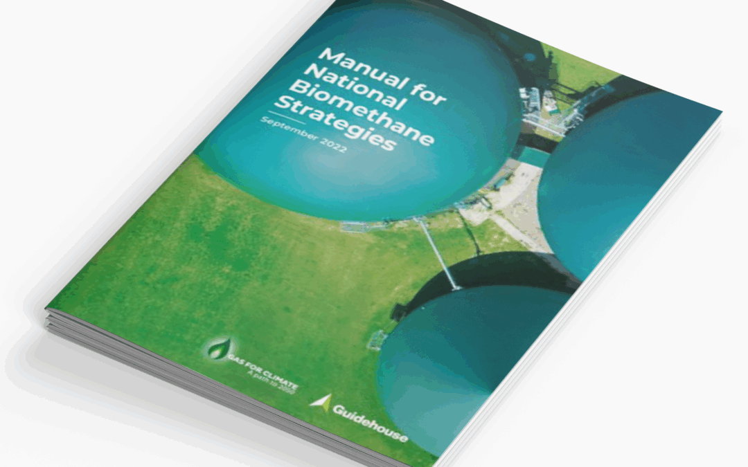 New Study on a Manual for National Biomethane Strategies