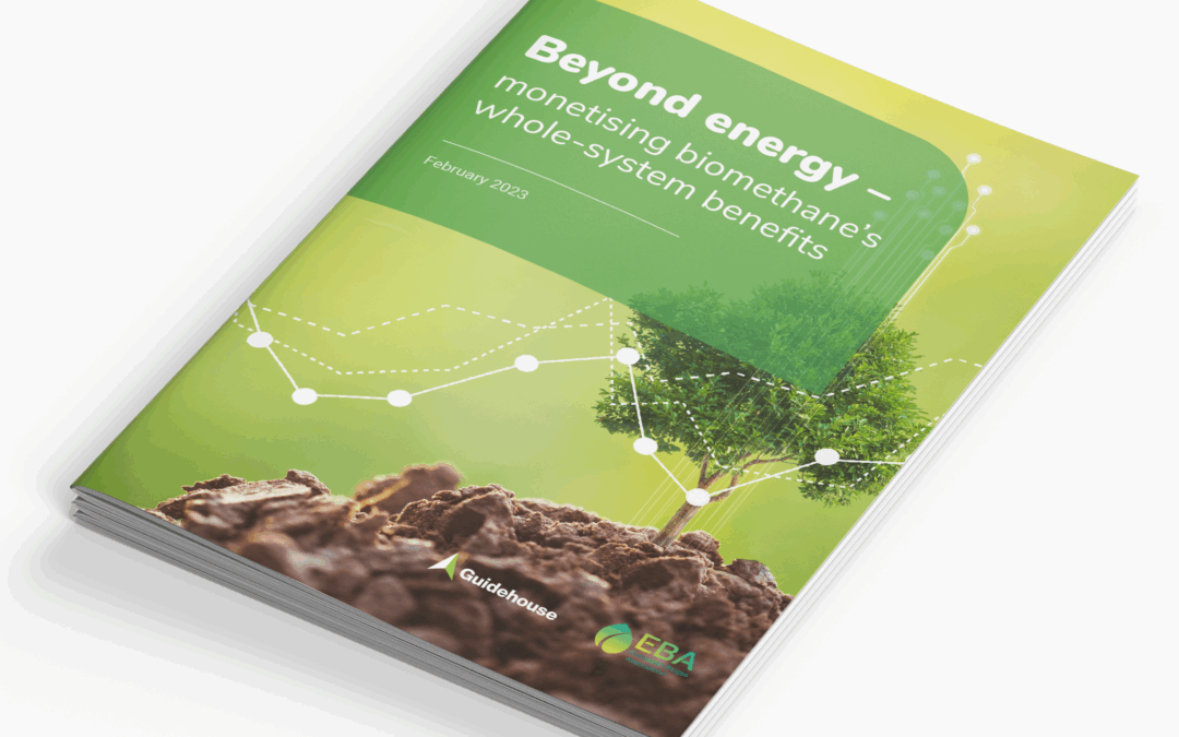 Beyond energy – monetising biomethane’s whole-system benefits
