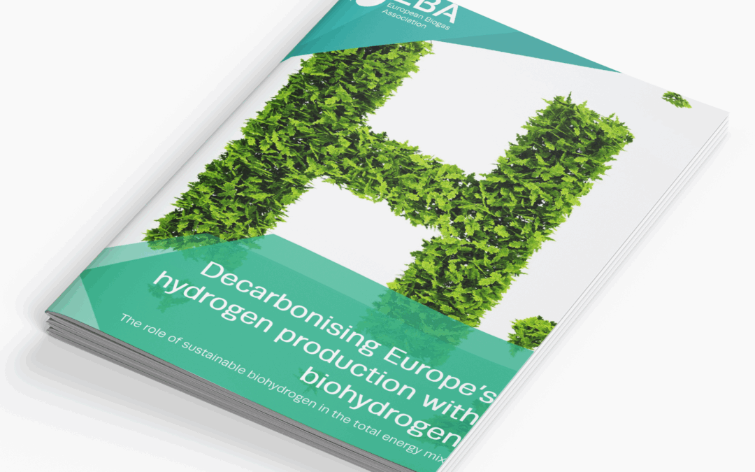 Decarbonising Europe’s hydrogen production with biohydrogen