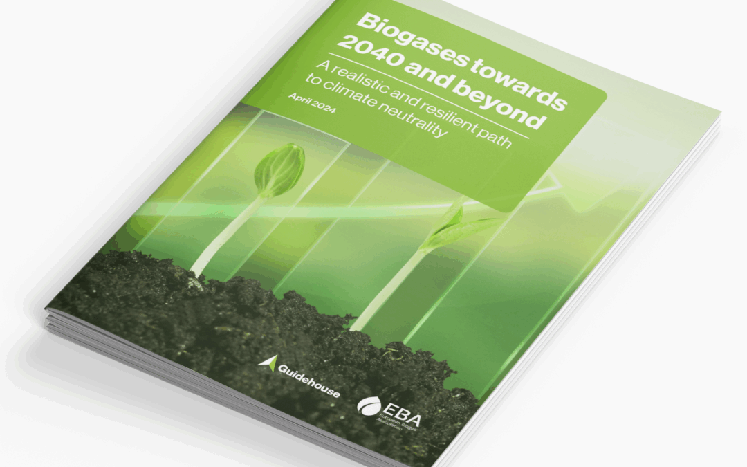 Biogases towards 2040 and beyond