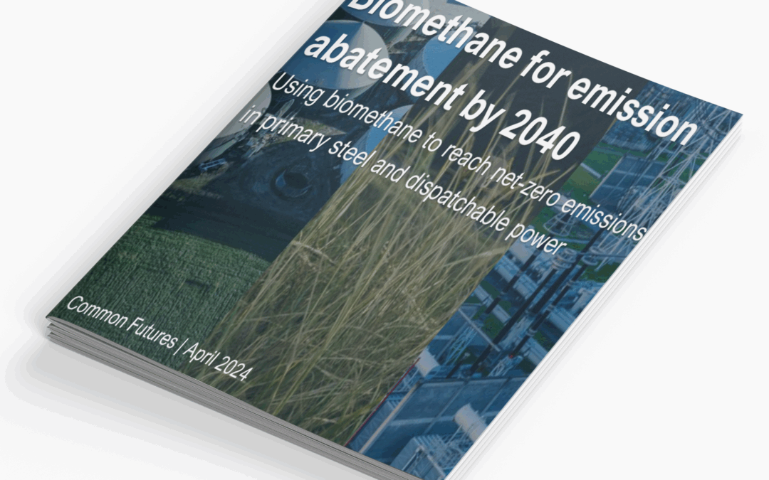 Biomethane for emission abatement by 2040
