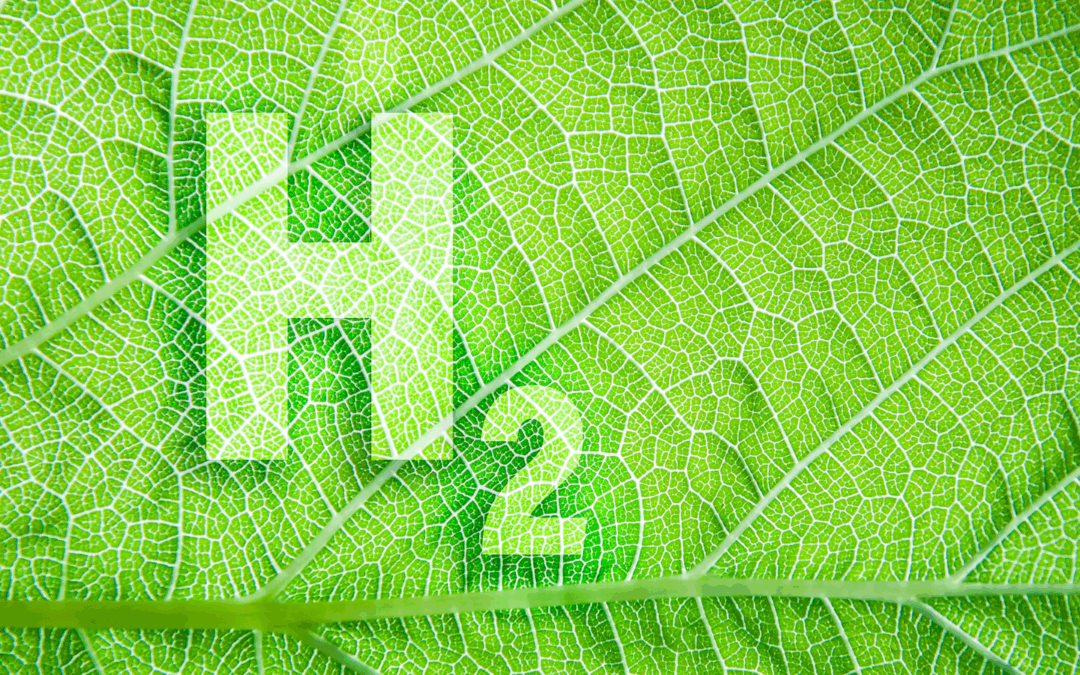 Biohydrogen’s take into the net-zero equation
