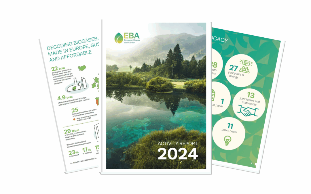 EBA Activity Report 2024 is out!