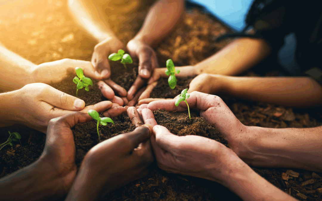 Open letter: Invitation to Open Dialogue on Biomethane Targets and Sustainable Practices