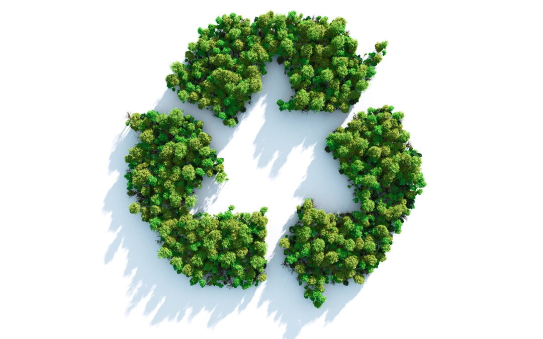Processing of bioplastics in biogas production: a forward-looking waste management solution