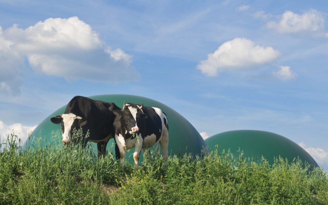 Circular Economy should enhance the uptake of recycled nutrients – says the European Parliament