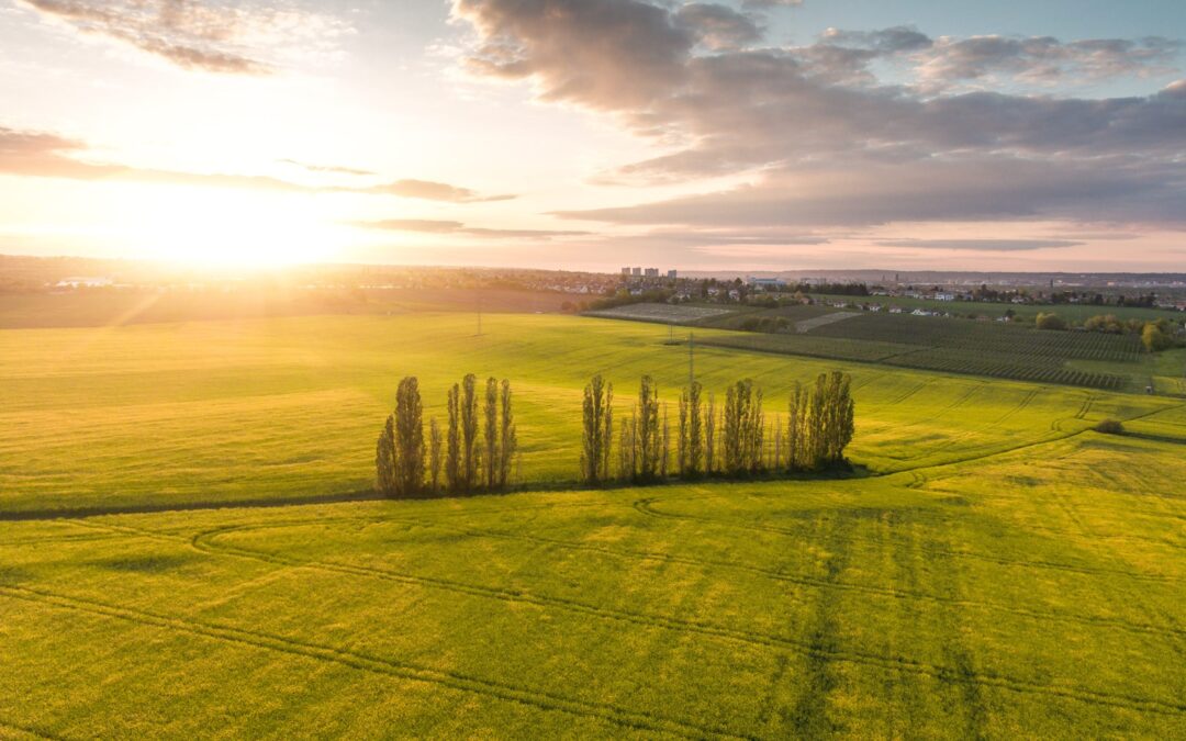 Biogas embedded in the EU bioeconomy