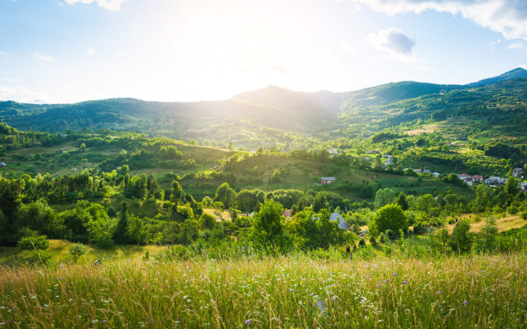 EBA welcomes 2040 Climate Target