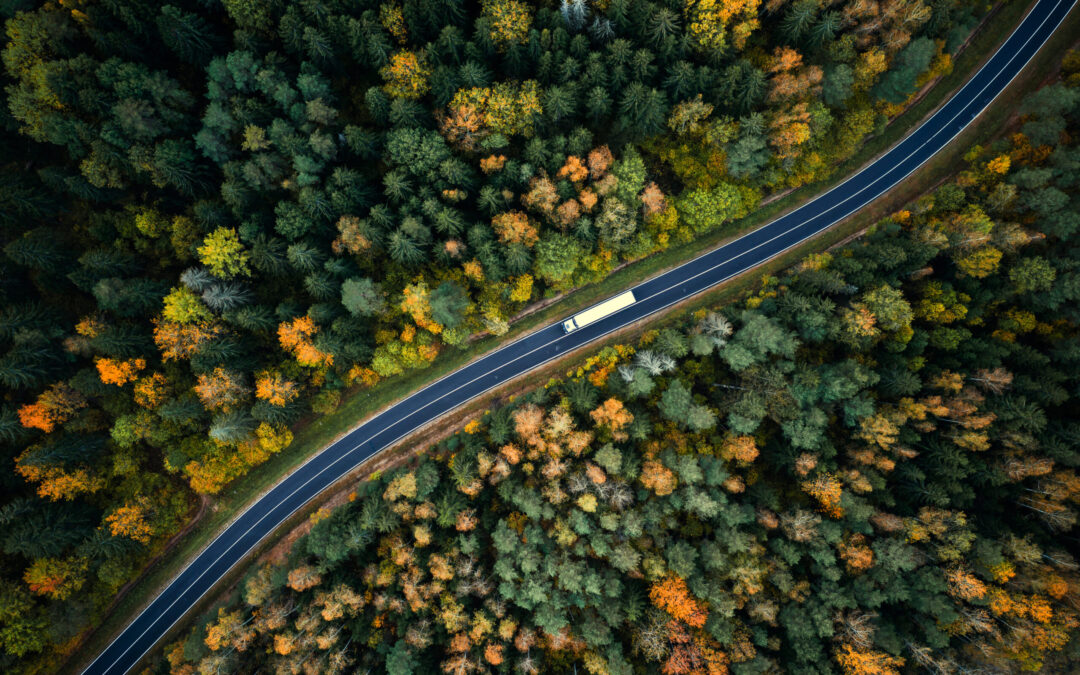 The biogas and biomethane value chain welcomes the European Parliament recognition of biomethane’s significant contribution to reduce CO2 emissions