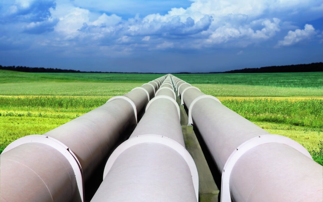 The biomethane sector will deliver 20% of current EU gas imports from Russia by 2030