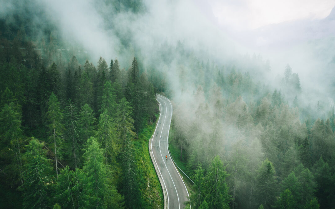 EBA welcomes EU climate ambition and highlights strategic role of biogases in emissions reduction and removals