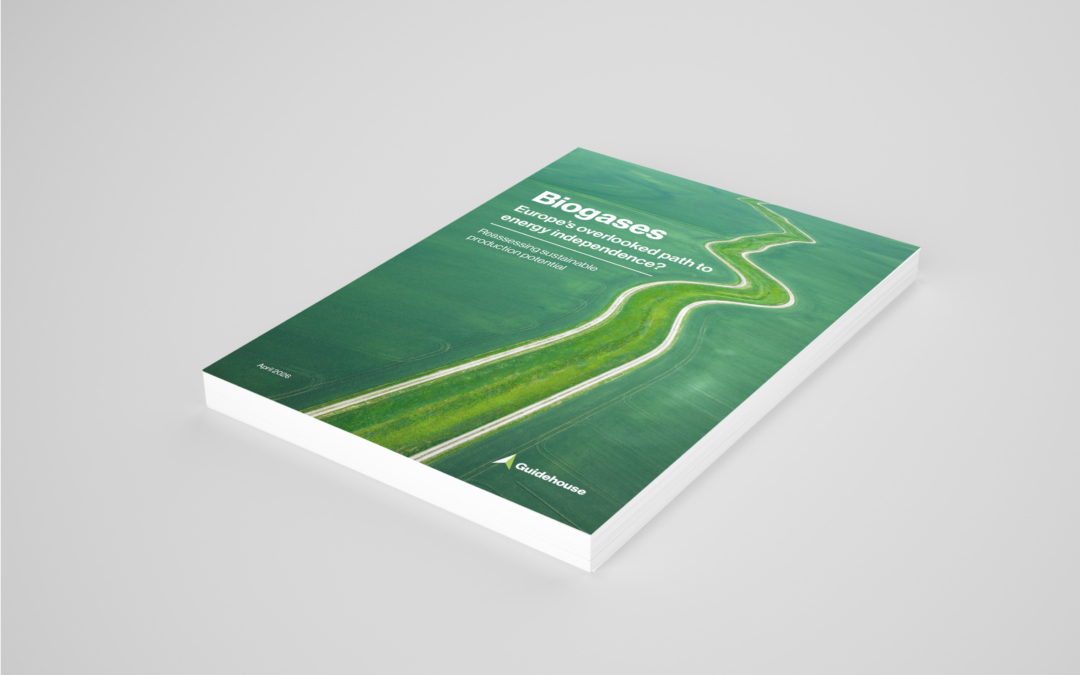 Biogases: Europe’s overlooked path to energy independence?